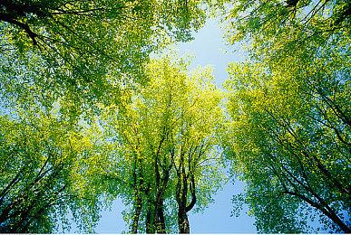 《大侠立志传》DLC“倩影萍踪”发售 国区定价18元